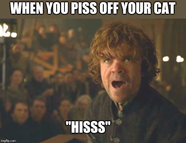 Lannisters, man | WHEN YOU PISS OFF YOUR CAT; "HISSS" | image tagged in tyrion lannister,cat,piss off,game of thrones,game of thrones laugh,meme | made w/ Imgflip meme maker