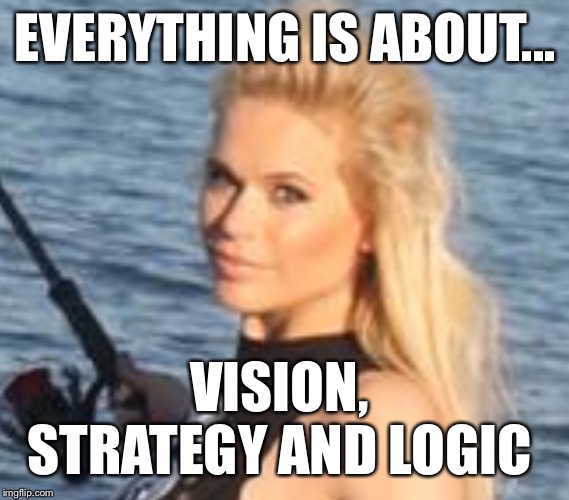 Everything is about...-Maria Durbani | EVERYTHING IS ABOUT... VISION, 
STRATEGY AND LOGIC | image tagged in maria durbani,vision,strategic,logic,meme,funny | made w/ Imgflip meme maker