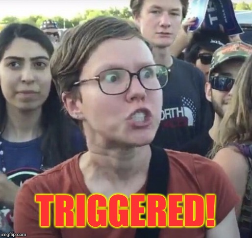 Triggered feminist | TRIGGERED! | image tagged in triggered feminist | made w/ Imgflip meme maker