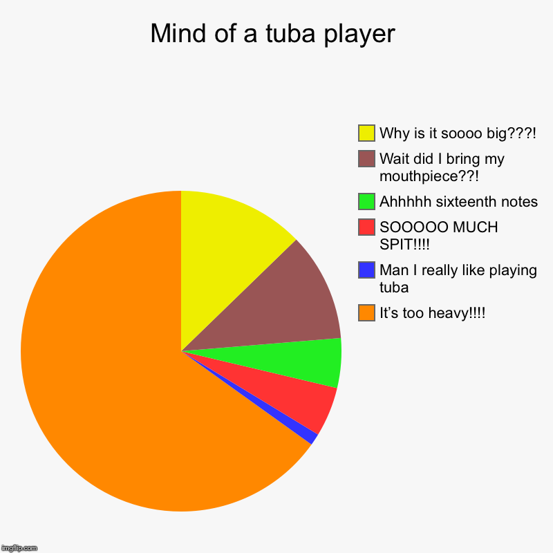 Mind of a tuba player | It’s too heavy!!!!, Man I really like playing tuba, SOOOOO MUCH SPIT!!!!, Ahhhhh sixteenth notes, Wait did I bring m | image tagged in charts,pie charts | made w/ Imgflip chart maker