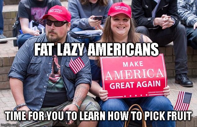 Strawberries Fields Forever Waiting To Be Picked | FAT LAZY AMERICANS; TIME FOR YOU TO LEARN HOW TO PICK FRUIT | image tagged in immigrant workers,fruit,fat americans,lazy | made w/ Imgflip meme maker