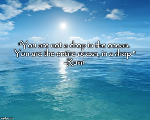 ocean | "You are not a drop in the ocean. 
You are the entire ocean, in a drop."

-Rumi | image tagged in ocean,rumi,inspirational quote | made w/ Imgflip meme maker