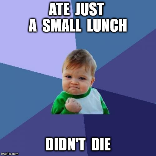 The new diet's going great! | ATE  JUST  A  SMALL  LUNCH; DIDN'T  DIE | image tagged in memes,success kid | made w/ Imgflip meme maker