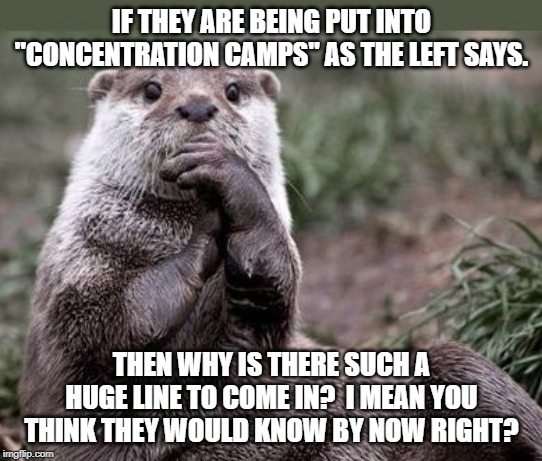 Questioning Otter | IF THEY ARE BEING PUT INTO "CONCENTRATION CAMPS" AS THE LEFT SAYS. THEN WHY IS THERE SUCH A HUGE LINE TO COME IN?  I MEAN YOU THINK THEY WOULD KNOW BY NOW RIGHT? | image tagged in questioning otter | made w/ Imgflip meme maker