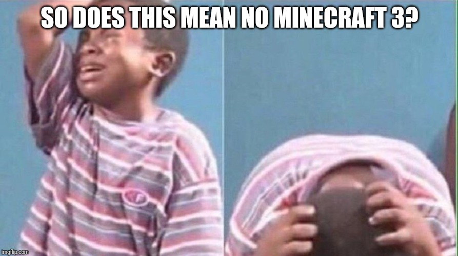 kid crying | SO DOES THIS MEAN NO MINECRAFT 3? | image tagged in kid crying | made w/ Imgflip meme maker