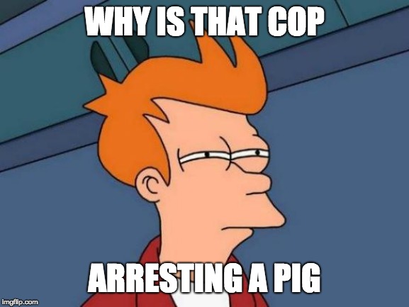 Futurama Fry Meme | WHY IS THAT COP ARRESTING A PIG | image tagged in memes,futurama fry | made w/ Imgflip meme maker