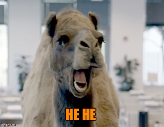 Geico camel hump day | HE HE | image tagged in geico camel hump day | made w/ Imgflip meme maker