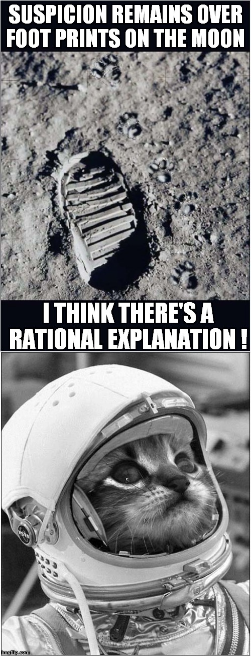 Walking On The Moon | SUSPICION REMAINS OVER FOOT PRINTS ON THE MOON; I THINK THERE'S A RATIONAL EXPLANATION ! | image tagged in fun,cats,moon landing | made w/ Imgflip meme maker