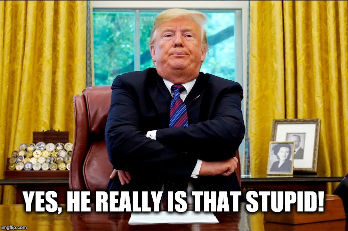 Train Wreck | YES, HE REALLY IS THAT STUPID! | image tagged in donald trump,moron,impeach trump,pathetic,train wreck | made w/ Imgflip meme maker