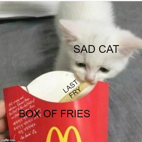 Sad cat taking fry | SAD CAT; LAST FRY; BOX OF FRIES | image tagged in sad cat taking fry | made w/ Imgflip meme maker