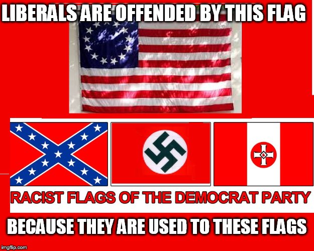liberal hate | LIBERALS ARE OFFENDED BY THIS FLAG; BECAUSE THEY ARE USED TO THESE FLAGS | image tagged in racists,liberals,liberal logic,libtards,democrats | made w/ Imgflip meme maker