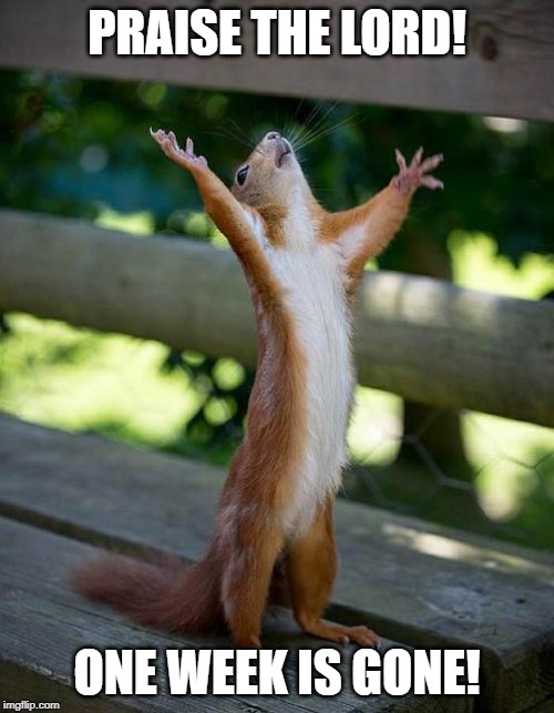 Insane Squirrel | PRAISE THE LORD! ONE WEEK IS GONE! | image tagged in insane squirrel | made w/ Imgflip meme maker