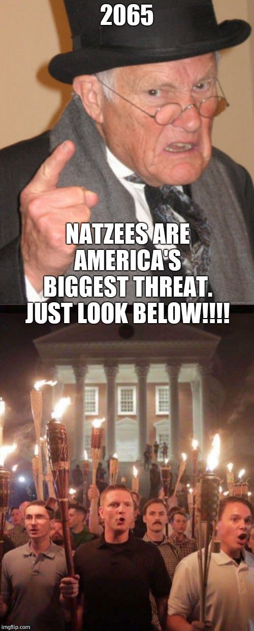 2065 NATZEES ARE AMERICA'S BIGGEST THREAT. JUST LOOK BELOW!!!! | image tagged in memes,back in my day,tiki torch racist | made w/ Imgflip meme maker