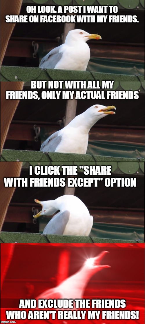 Facebook Exceptions. | OH LOOK. A POST I WANT TO SHARE ON FACEBOOK WITH MY FRIENDS. BUT NOT WITH ALL MY FRIENDS, ONLY MY ACTUAL FRIENDS; I CLICK THE "SHARE WITH FRIENDS EXCEPT" OPTION; AND EXCLUDE THE FRIENDS WHO AREN'T REALLY MY FRIENDS! | image tagged in memes,inhaling seagull,facebook,fb,my facebook friend,friends | made w/ Imgflip meme maker