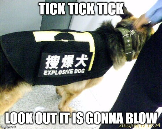 LOOK OUT | TICK TICK TICK; LOOK OUT IT IS GONNA BLOW | image tagged in bomb dog | made w/ Imgflip meme maker