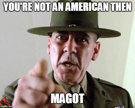 Drill Sarge - Full Metal Jacket | YOU'RE NOT AN AMERICAN THEN MAGOT | image tagged in drill sarge - full metal jacket | made w/ Imgflip meme maker