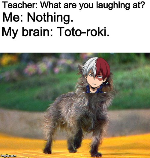 The power of fire, ice, and barking | Teacher: What are you laughing at? Me: Nothing. My brain: Toto-roki. | image tagged in toto,todoroki,my hero academia,animeme,wizard of oz | made w/ Imgflip meme maker