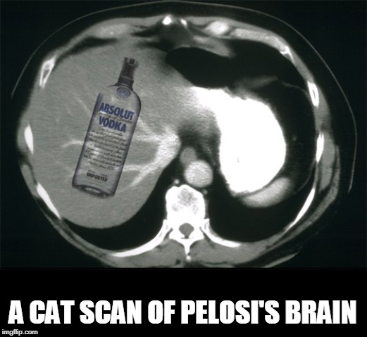 A CAT SCAN OF PELOSI'S BRAIN | made w/ Imgflip meme maker