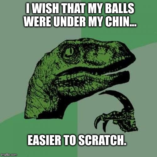 Philosoraptor Meme | I WISH THAT MY BALLS WERE UNDER MY CHIN... EASIER TO SCRATCH. | image tagged in memes,philosoraptor | made w/ Imgflip meme maker