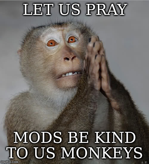 LET US PRAY; MODS BE KIND TO US MONKEYS | made w/ Imgflip meme maker