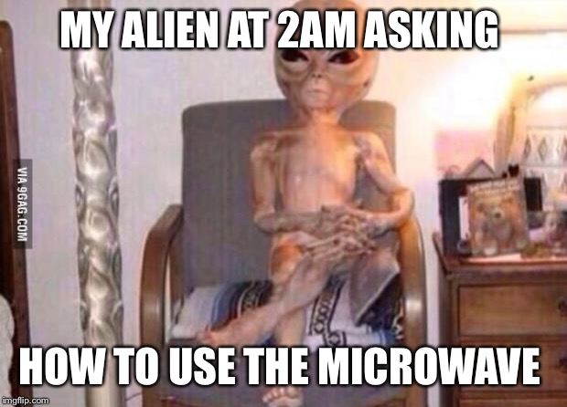 High alien (fma) | MY ALIEN AT 2AM ASKING; HOW TO USE THE MICROWAVE | image tagged in high alien fma | made w/ Imgflip meme maker