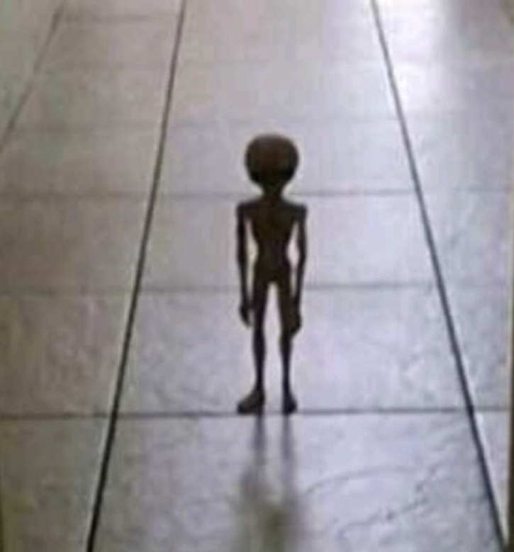 Alien in doorway Blank Meme Template