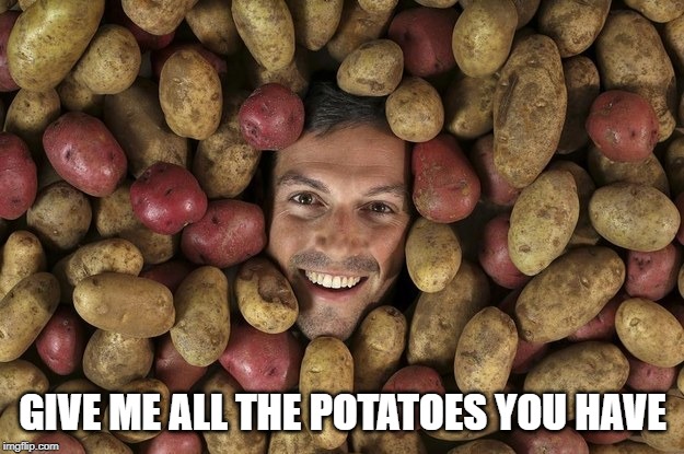 Potatoes lover | GIVE ME ALL THE POTATOES YOU HAVE | image tagged in potatoes lover | made w/ Imgflip meme maker