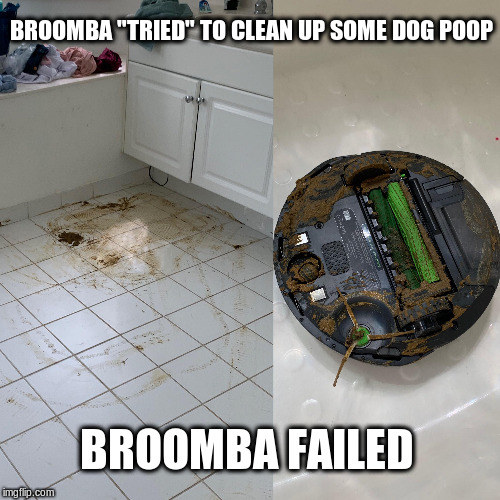 Broomba vs Dog Poop | BROOMBA "TRIED" TO CLEAN UP SOME DOG POOP; BROOMBA FAILED | image tagged in dog poop,broom,funny meme | made w/ Imgflip meme maker