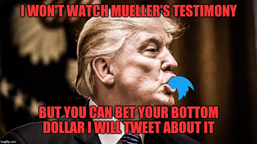 Like usual...tweeting about something he knows very little about | I WON'T WATCH MUELLER'S TESTIMONY; BUT YOU CAN BET YOUR BOTTOM DOLLAR I WILL TWEET ABOUT IT | image tagged in trump twitter | made w/ Imgflip meme maker