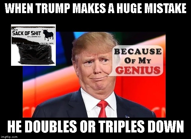 Trump is Three Times Stupid | WHEN TRUMP MAKES A HUGE MISTAKE; HE DOUBLES OR TRIPLES DOWN | image tagged in impeach trump,donald trump is an idiot,racist,criminal,conman,liar | made w/ Imgflip meme maker