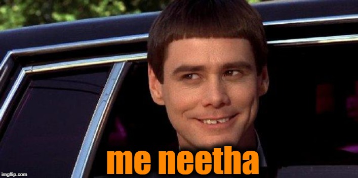 dumb and dumber | me neetha | image tagged in dumb and dumber | made w/ Imgflip meme maker