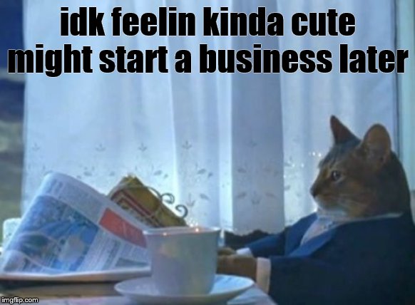 I Should Buy A Boat Cat Meme | idk feelin kinda cute might start a business later | image tagged in memes,i should buy a boat cat | made w/ Imgflip meme maker