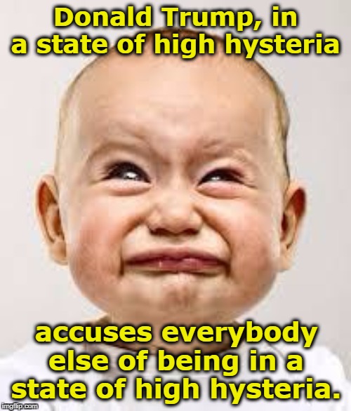 As the madman lashes out for the 900th time... | Donald Trump, in a state of high hysteria; accuses everybody else of being in a state of high hysteria. | image tagged in crying baby,trump,hysteria,projection,frantic | made w/ Imgflip meme maker