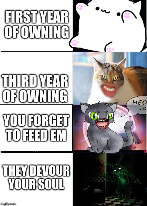 Expanding Brain | FIRST YEAR OF OWNING; THIRD YEAR OF OWNING; YOU FORGET TO FEED EM; THEY DEVOUR YOUR SOUL | image tagged in memes,expanding brain,cats | made w/ Imgflip meme maker