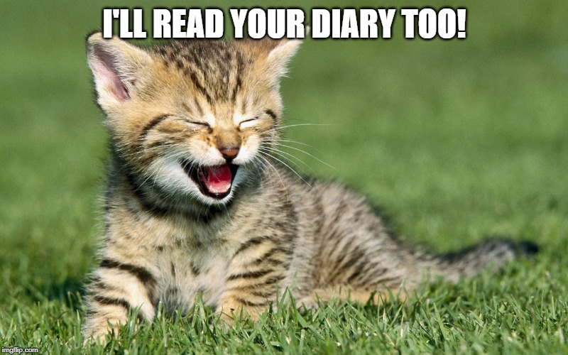 laughing cat | I'LL READ YOUR DIARY TOO! | image tagged in laughing cat | made w/ Imgflip meme maker