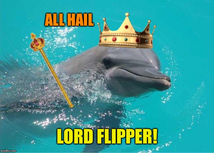 ALL HAIL LORD FLIPPER! | made w/ Imgflip meme maker