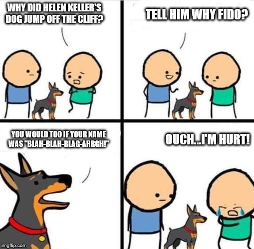 What kids in school learn today about Helen Keller? | TELL HIM WHY FIDO? WHY DID HELEN KELLER'S DOG JUMP OFF THE CLIFF? YOU WOULD TOO IF YOUR NAME WAS "BLAH-BLAH-BLAG-ARRGH!"; OUCH...I'M HURT! | image tagged in dog hurt comic,helen keller,ouch | made w/ Imgflip meme maker