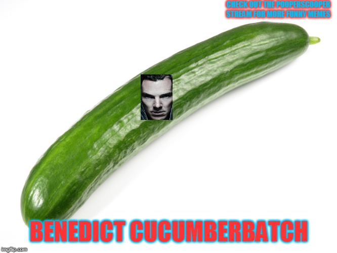 benedict cucumberbatch |  CHECK OUT THE POOPERSCOOPER STREAM FOR MORE FUNNY MEMES; BENEDICT CUCUMBERBATCH | image tagged in benedict cumberbatch | made w/ Imgflip meme maker