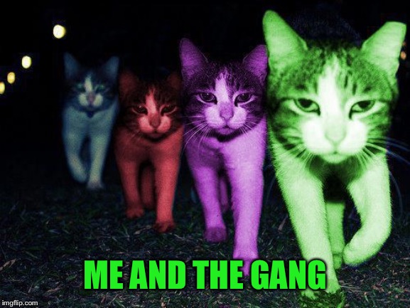 Wrong Neighborhood RayCats | ME AND THE GANG | image tagged in wrong neighborhood raycats | made w/ Imgflip meme maker