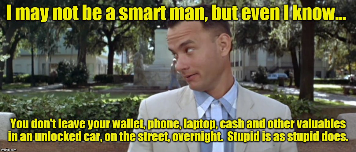 Forest Gump | I may not be a smart man, but even I know... You don't leave your wallet, phone, laptop, cash and other valuables in an unlocked car, on the street, overnight.  Stupid is as stupid does. | image tagged in forest gump | made w/ Imgflip meme maker