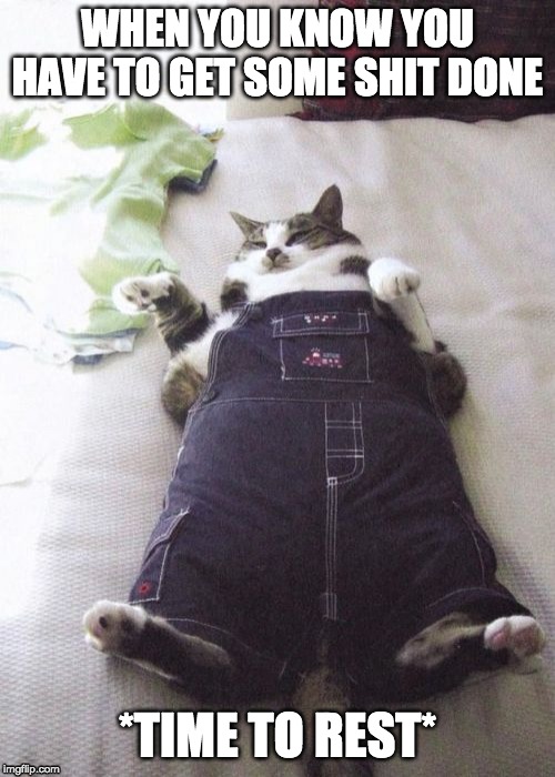Fat Cat | WHEN YOU KNOW YOU HAVE TO GET SOME SHIT DONE; *TIME TO REST* | image tagged in memes,fat cat | made w/ Imgflip meme maker