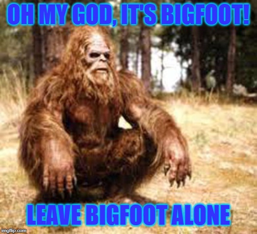 bigfoot | OH MY GOD, IT'S BIGFOOT! LEAVE BIGFOOT ALONE | image tagged in bigfoot | made w/ Imgflip meme maker