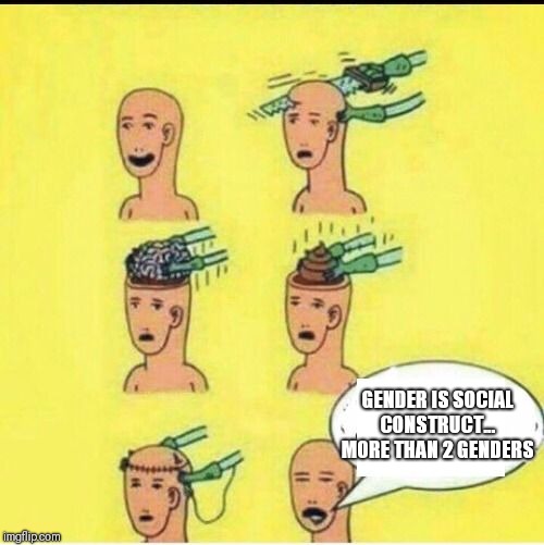 brain cut | GENDER IS SOCIAL CONSTRUCT... MORE THAN 2 GENDERS | image tagged in brain cut | made w/ Imgflip meme maker