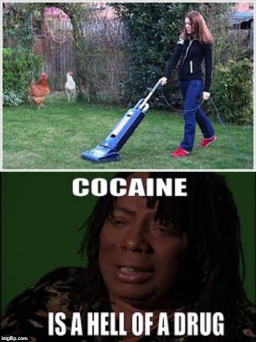 She High! | image tagged in rick james | made w/ Imgflip meme maker