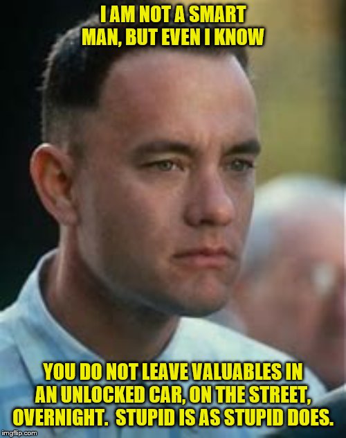 I AM NOT A SMART MAN, BUT EVEN I KNOW; YOU DO NOT LEAVE VALUABLES IN AN UNLOCKED CAR, ON THE STREET, OVERNIGHT.  STUPID IS AS STUPID DOES. | image tagged in fun | made w/ Imgflip meme maker