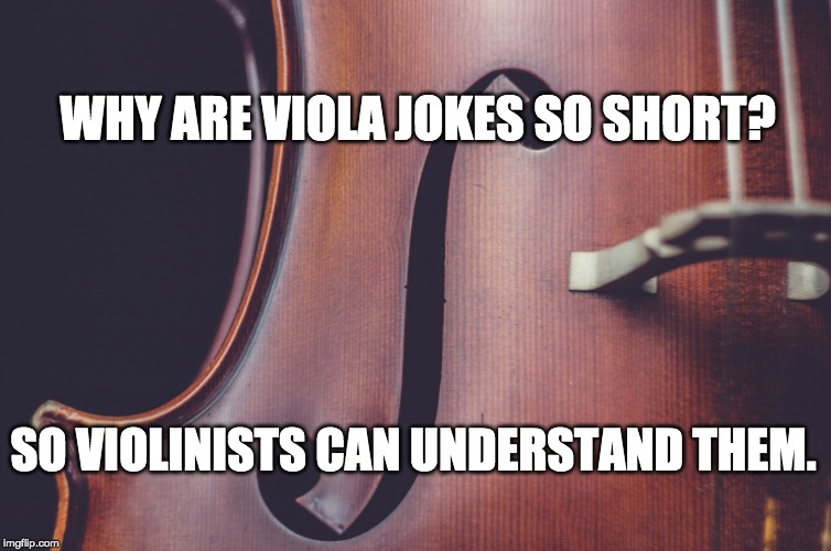 WHY ARE VIOLA JOKES SO SHORT? SO VIOLINISTS CAN UNDERSTAND THEM. | image tagged in viola | made w/ Imgflip meme maker