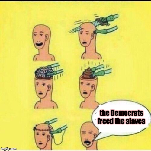 brain cut | the Democrats freed the slaves | image tagged in brain cut | made w/ Imgflip meme maker