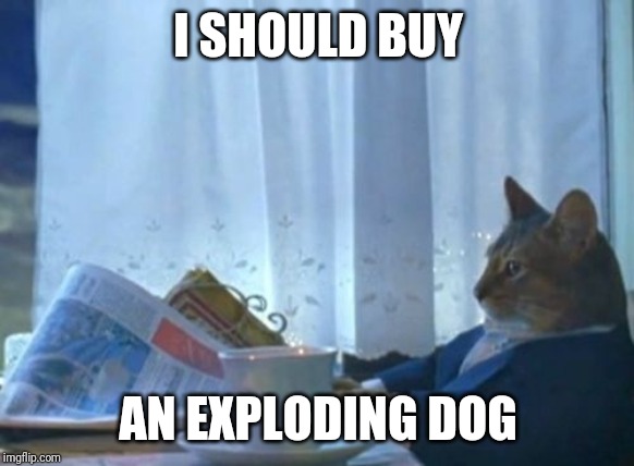 I Should Buy A Boat Cat Meme | I SHOULD BUY AN EXPLODING DOG | image tagged in memes,i should buy a boat cat | made w/ Imgflip meme maker