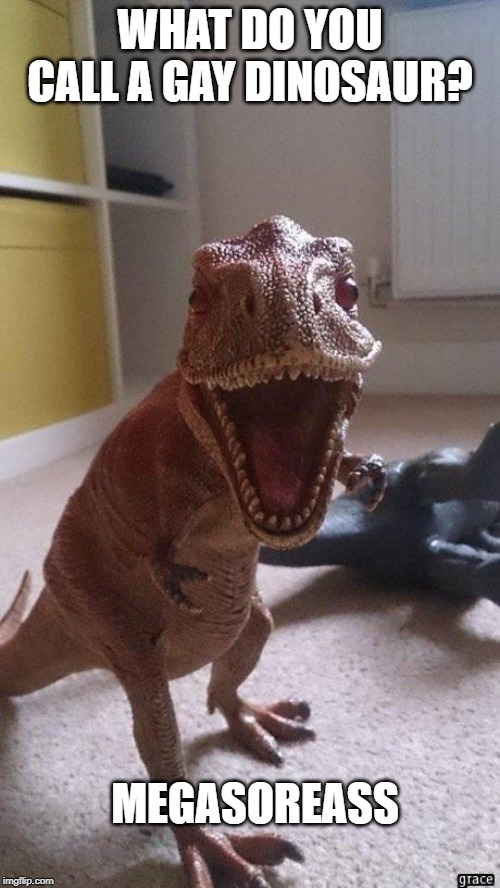Bad, Just Bad | WHAT DO YOU CALL A GAY DINOSAUR? MEGASOREASS | image tagged in bad dinosaur joke | made w/ Imgflip meme maker