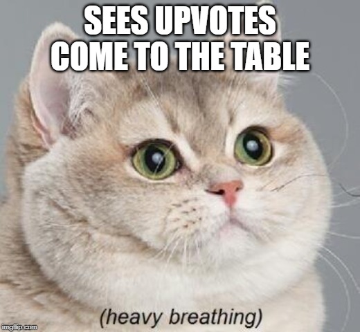 Pets are the best at begging. | SEES UPVOTES COME TO THE TABLE | image tagged in memes,heavy breathing cat,begging,upvotes | made w/ Imgflip meme maker